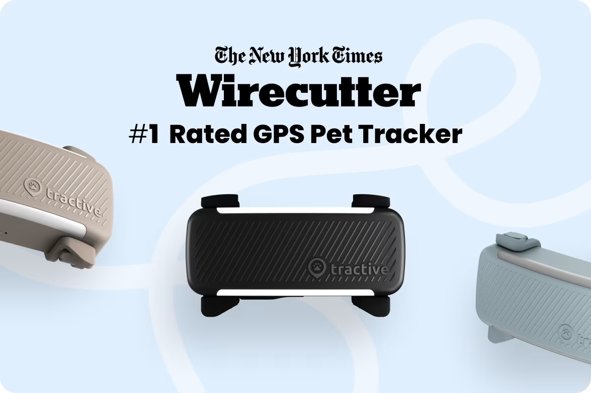 Smart Dog Tracker