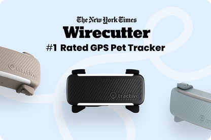 Smart Dog Tracker