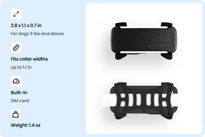 Smart Dog Tracker