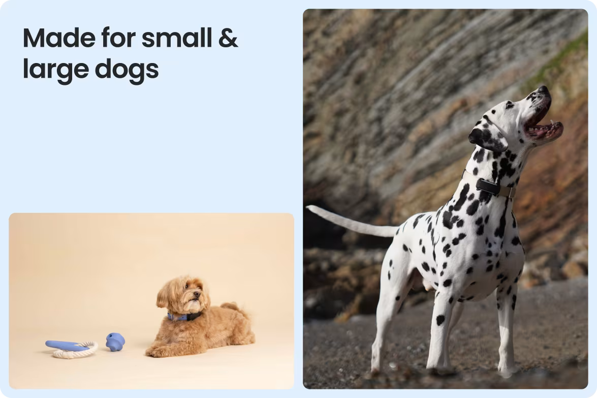 Smart Dog Tracker