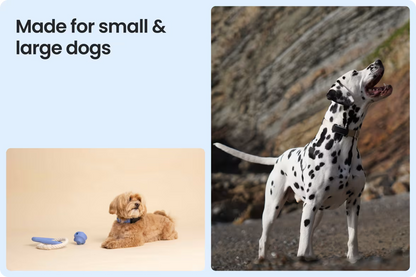 Smart Dog Tracker