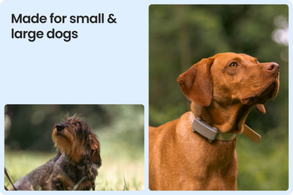 Smart Dog Tracker