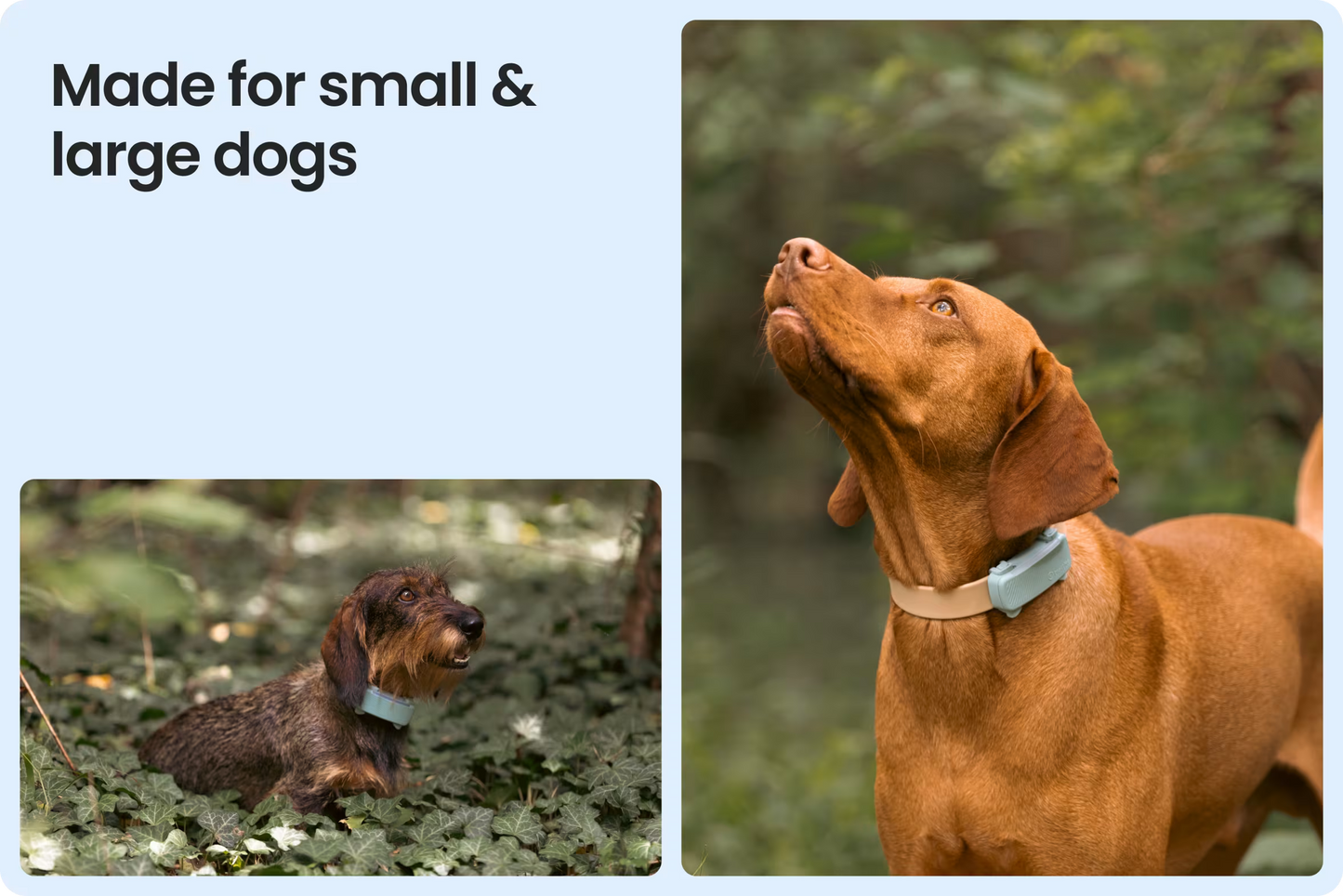 Smart Dog Tracker